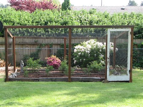 blueberry garden design ideas